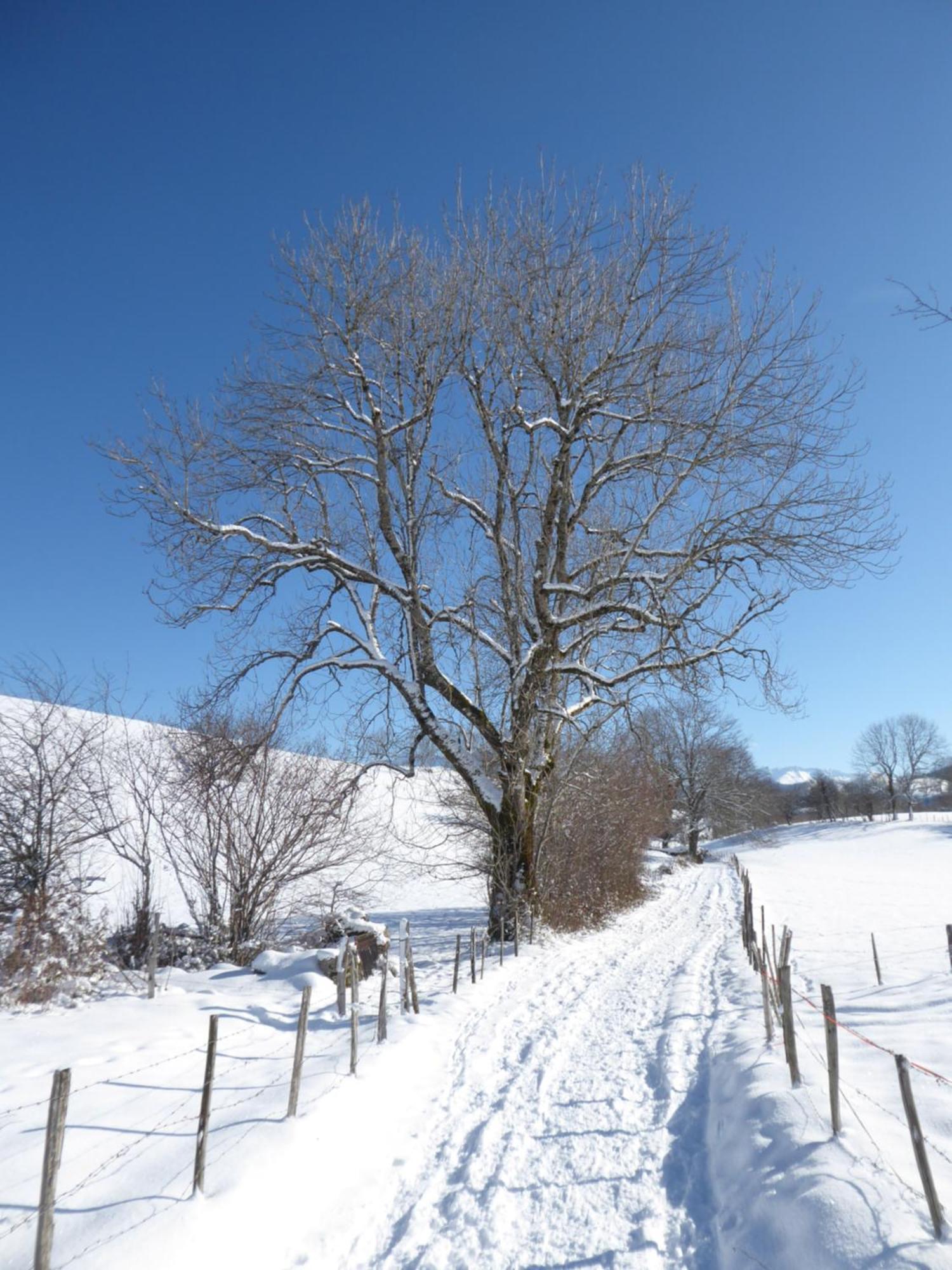 Un Cocon Pour Deux Appartement Saint-Lary-Soulan Buitenkant foto